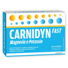 Carnidyn Fast Fast Magnesio E Potassio 20 Bustine