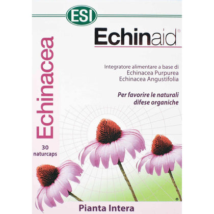 Echinaid 30 Capsule