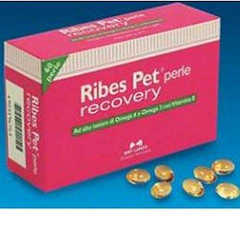 Ribes Pet Recovery 60 perle   - Vendita Online - Farmacia  Veterinaria