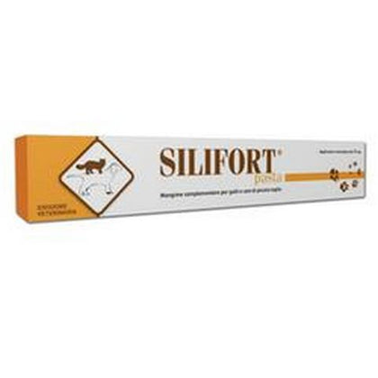 Silifort Pasta Os Siringa 30g
