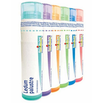 Ledum Palustre 30ch Gr