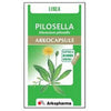 Arkocps Pilosella 90vg