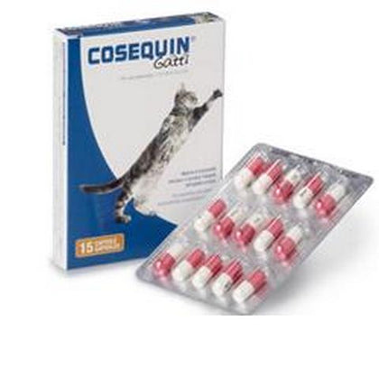 Cosequin Gatti 15 Capsule